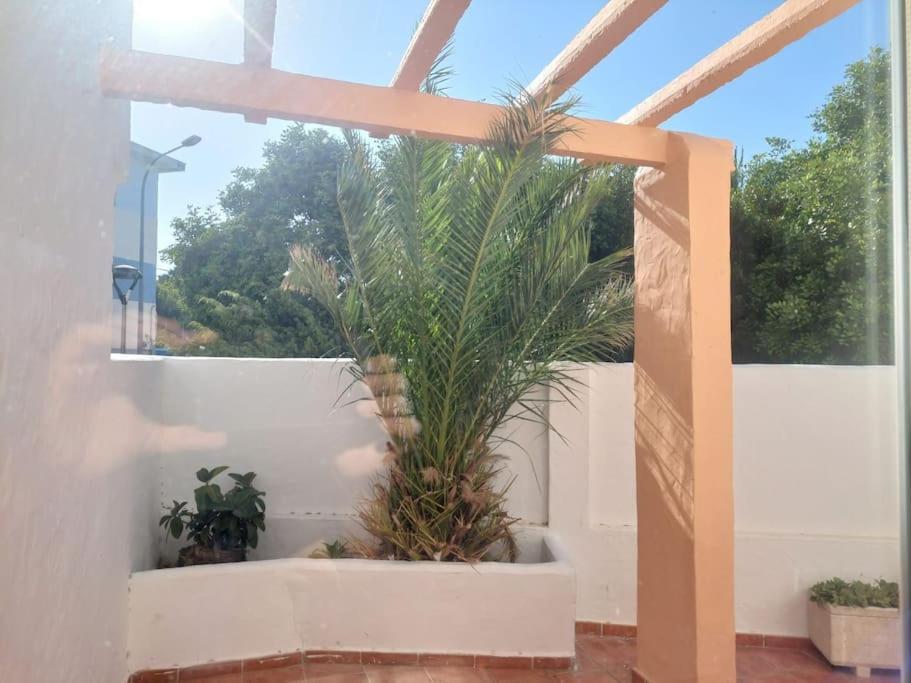 Piscina, Wifi, Patio Con Vistas Διαμέρισμα Ταρίφα Εξωτερικό φωτογραφία