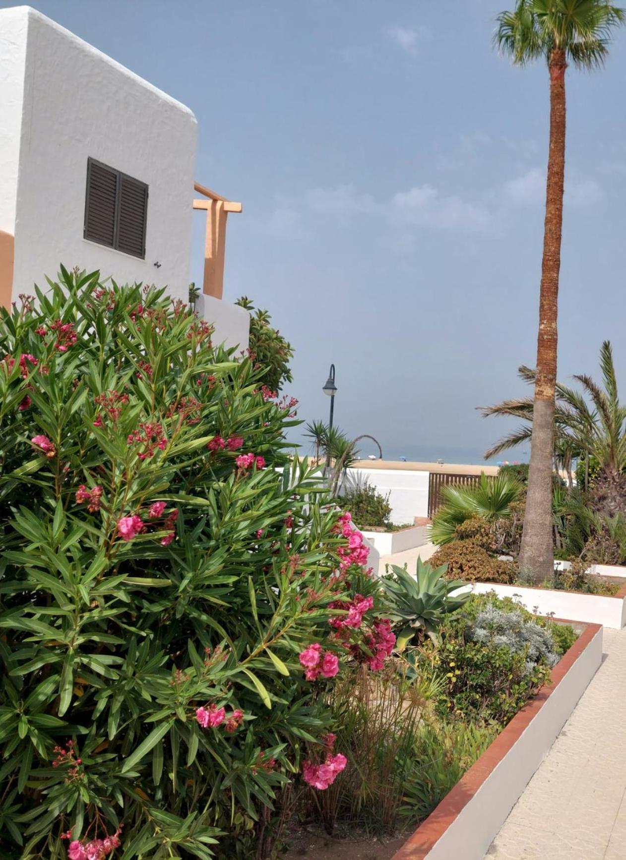 Piscina, Wifi, Patio Con Vistas Διαμέρισμα Ταρίφα Εξωτερικό φωτογραφία